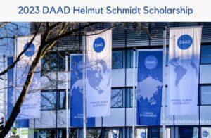 DAAD Helmut Schmidt Scholarship