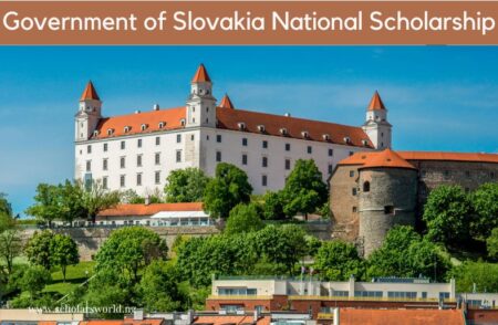 Government of Slovakia National Scholarship