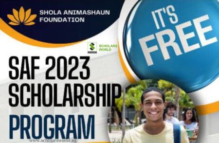 Sholape Animashaun Foundation Scholarship