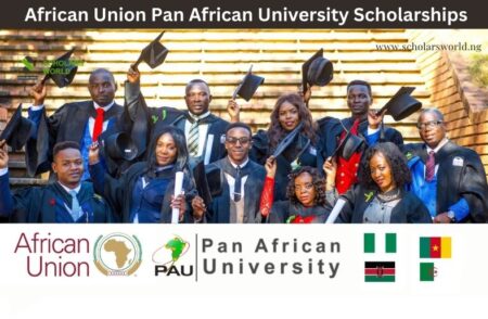 Pan African University Scholarships