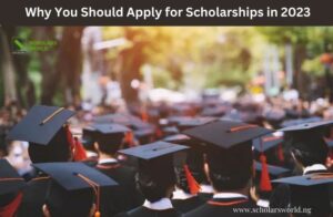 Why You Should Apply for Scholarships