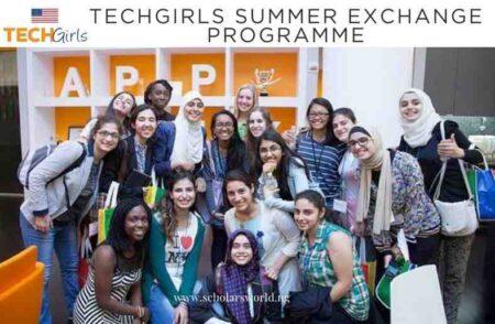 TechGirls Summer Exchange Programme
