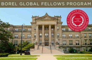 Borel Global Fellows Program