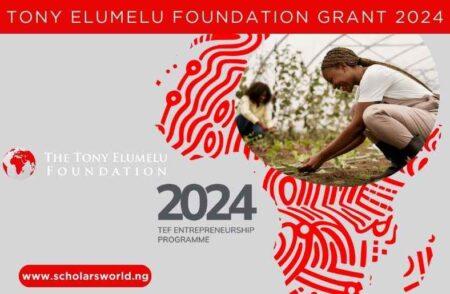 Tony Elumelu Foundation Grant