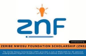 Zeribe Nwosu Scholarship (ZNS) 2025