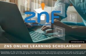 Zeribe Nwosu ZNS Online Learning Scholarship