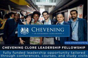 Chevening Clore Leadership Fellowship