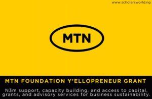 MTN Y'ellopreneur Grant