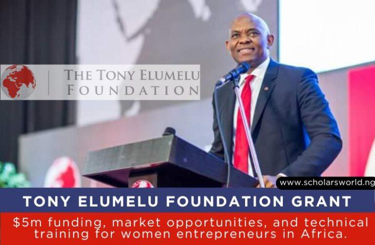 2026 Tony Elumelu Foundation Grant for Africans: $5000 Opportunity