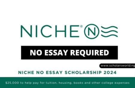 Niche No Essay Scholarship