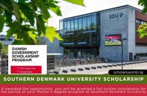 Government of Denmark Scholarship
