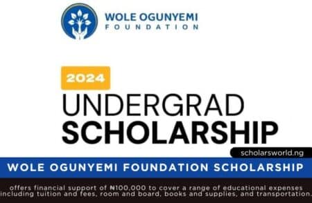Wole Ogunyemi Undergraduate Scholarship
