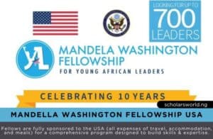 Mandella Washington Fellowship USA