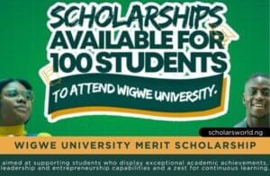 Wigwe University Merit Scholarship