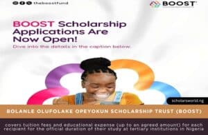 BOOST Undergraduate Scholarship