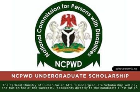 NCPWD Undergraduate Scholarship