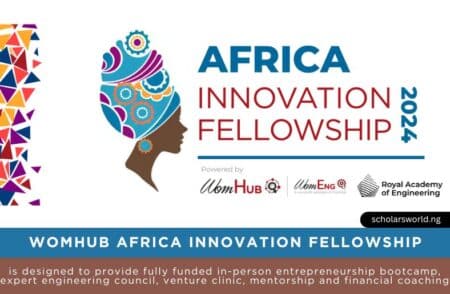 WomHub Africa Innovation Fellowship