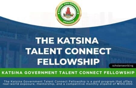 Katsina Government Talent Connect Fellowship