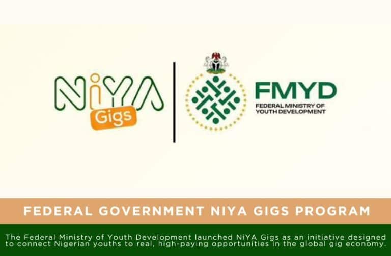 Federal Government NIYA Gigs Program For Young Nigerians: Career ...