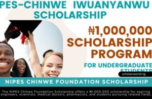 NIPES Chinwe Foundation Scholarship