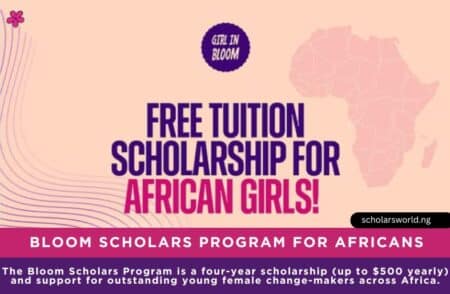 Bloom Scholars Program For Africans