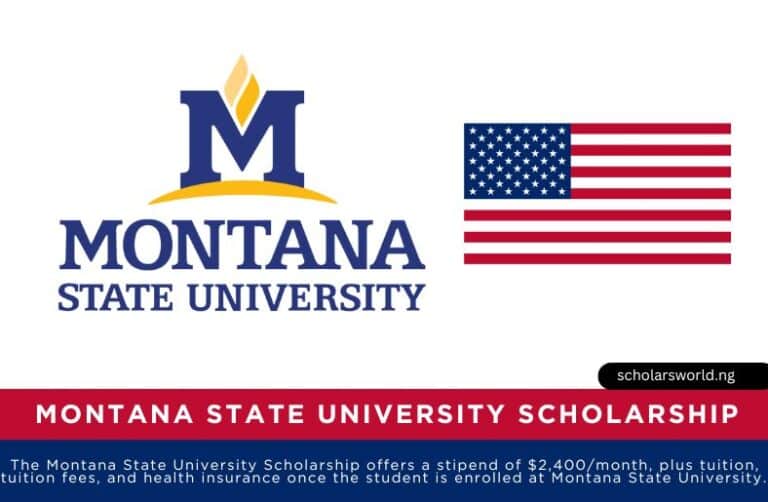 Montana State University Scholarship in USA 2026: Fully Funded Opportunity