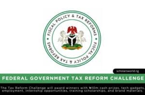 Federal Government Tax Reform Challenge