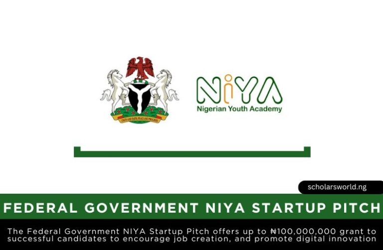 Federal Government NIYA Startup Pitch for Nigerians