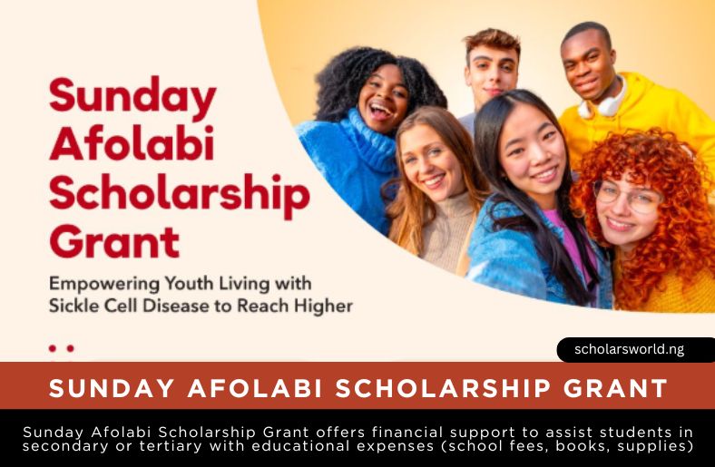 Sunday Afolabi Scholarship Grant