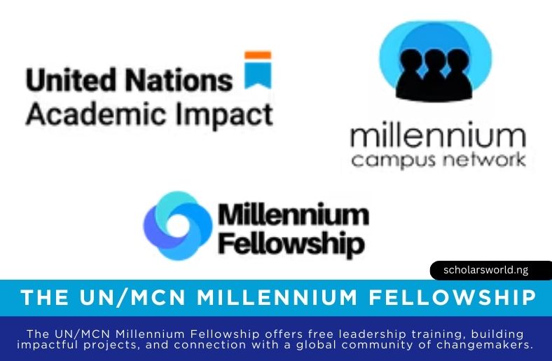 The UN Millennium Fellowship