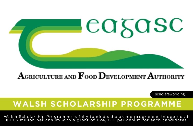 Walsh Scholarship Programme